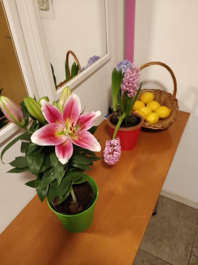 Savski Gaj 자그레브 외부 사진
